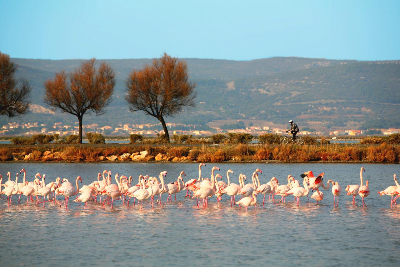 La région de Mèze et Sète